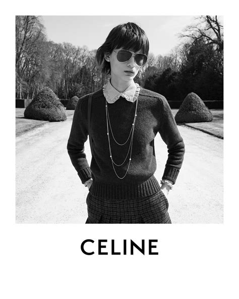 celine brand net worth